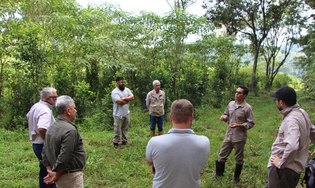 Imagen de Luis Díaz Espeche, de San Pedro, es el Productor Yerbatero 2023 Imagen de Luis Díaz Espeche, de San Pedro, es el Productor Yerbatero 2023