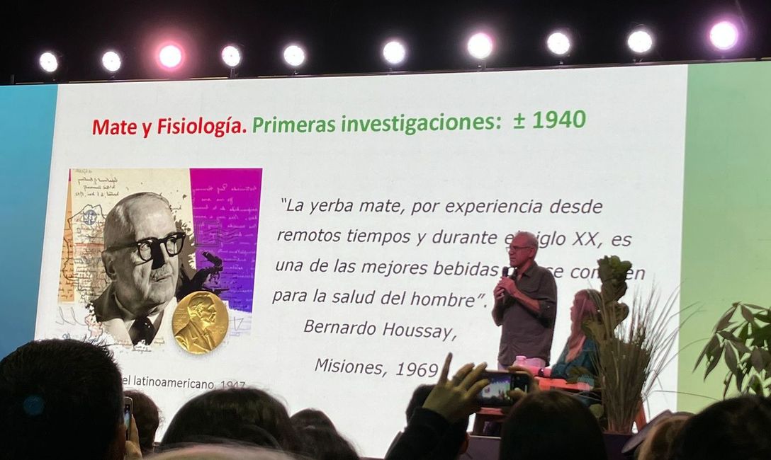 Imagen de Validado por la ciencia, el mate es un aliado contra el Parkinson y ya se estudian más de sus propiedades benéficas para la salud Imagen de Validado por la ciencia, el mate es un aliado contra el Parkinson y ya se estudian más de sus propiedades benéficas para la salud