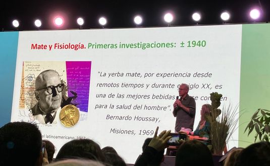 Imagen de Validado por la ciencia, el mate es un aliado contra el Parkinson y ya se estudian más de sus propiedades benéficas para la salud