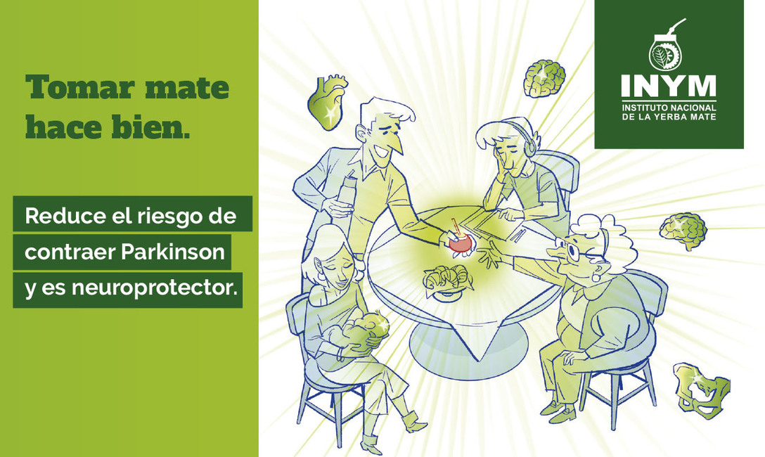Imagen de Validado por la ciencia, el mate es un aliado contra el Parkinson y ya se estudian más de sus propiedades benéficas para la salud Imagen de Validado por la ciencia, el mate es un aliado contra el Parkinson y ya se estudian más de sus propiedades benéficas para la salud