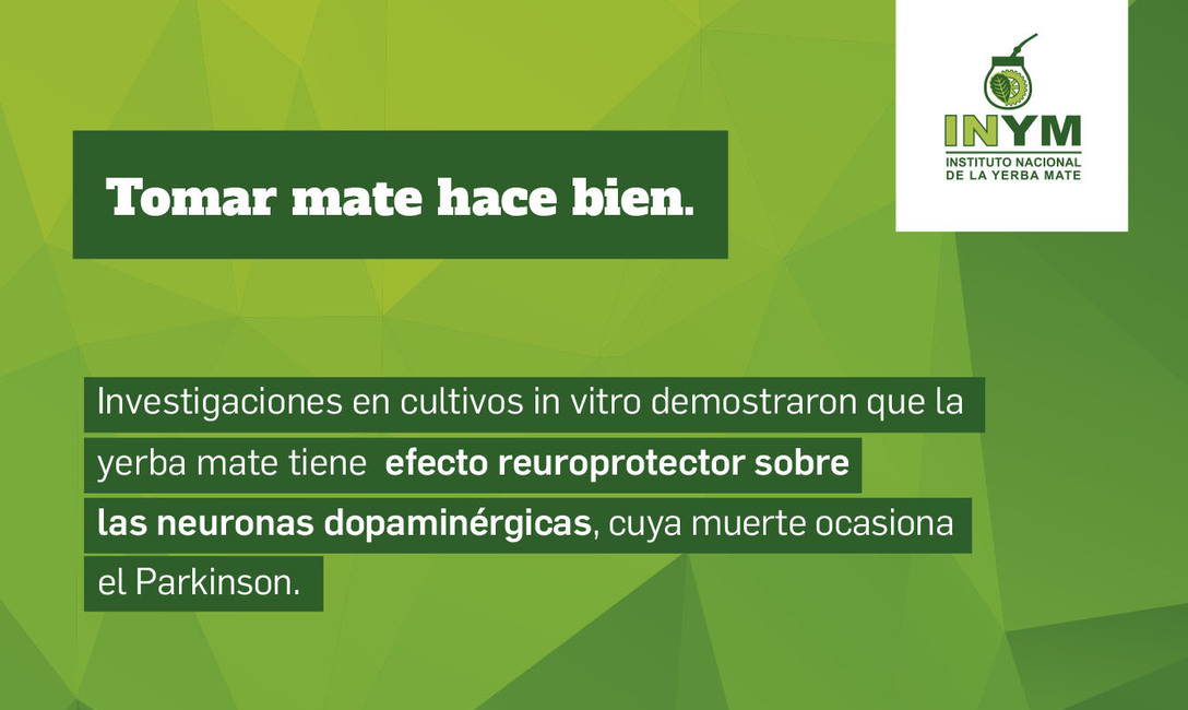 Imagen de Validado por la ciencia, el mate es un aliado contra el Parkinson y ya se estudian más de sus propiedades benéficas para la salud Imagen de Validado por la ciencia, el mate es un aliado contra el Parkinson y ya se estudian más de sus propiedades benéficas para la salud