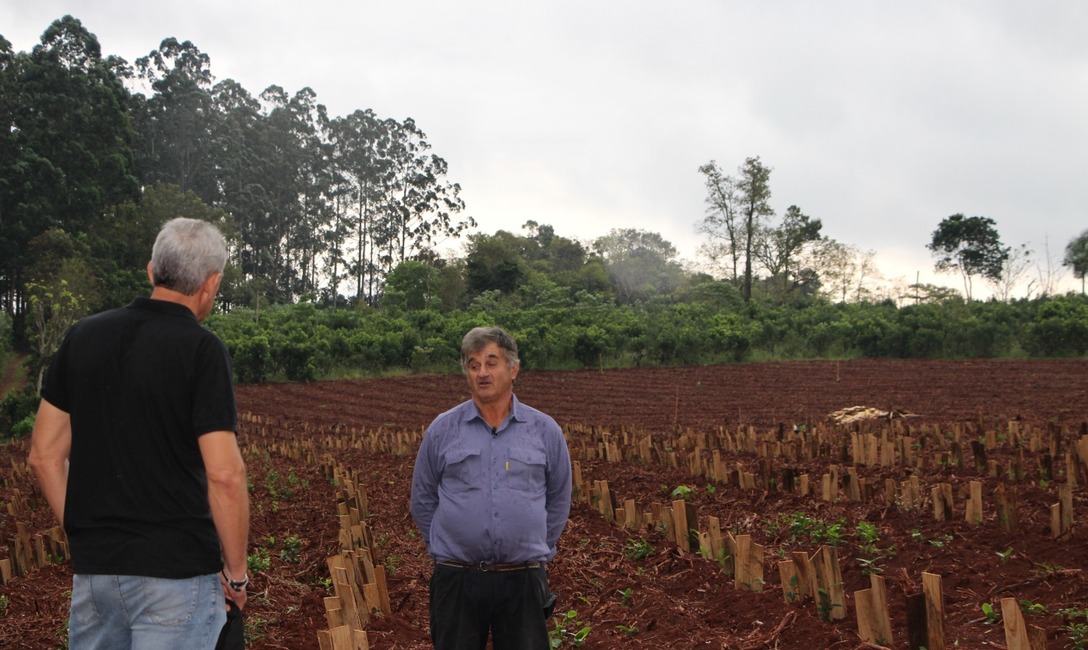Imagen de La Yerba Mate Argentina en la pantalla de la tv argentina y latinoamericana Imagen de La Yerba Mate Argentina en la pantalla de la tv argentina y latinoamericana