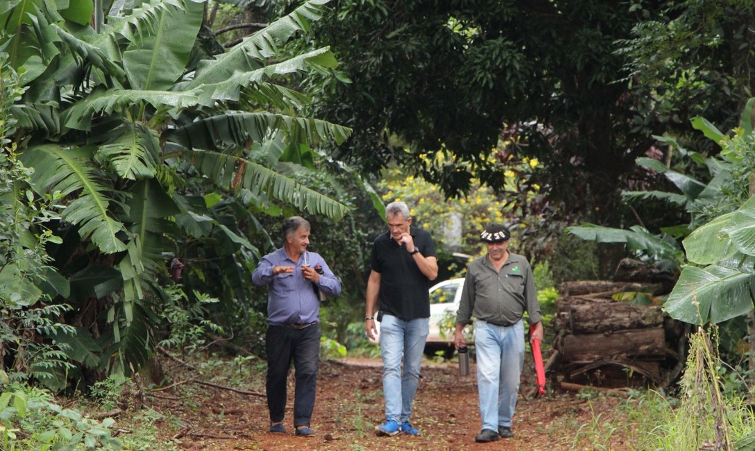 Imagen de La Yerba Mate Argentina en la pantalla de la tv argentina y latinoamericana Imagen de La Yerba Mate Argentina en la pantalla de la tv argentina y latinoamericana