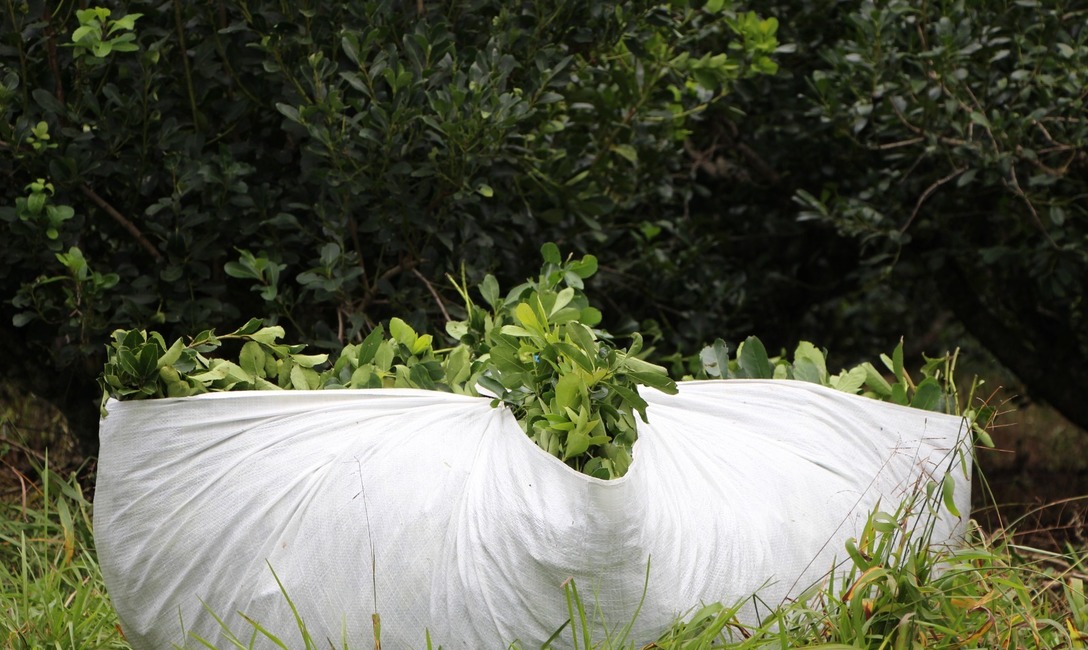Imagen de El INYM pidió a la Secretaría de Bioeconomía definiciones respecto a los precios de la materia prima Imagen de El INYM pidió a la Secretaría de Bioeconomía definiciones respecto a los precios de la materia prima