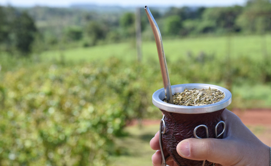 Imagen de Las ventas de yerba mate superaron los 70 millones de kilos durante el primer trimestre