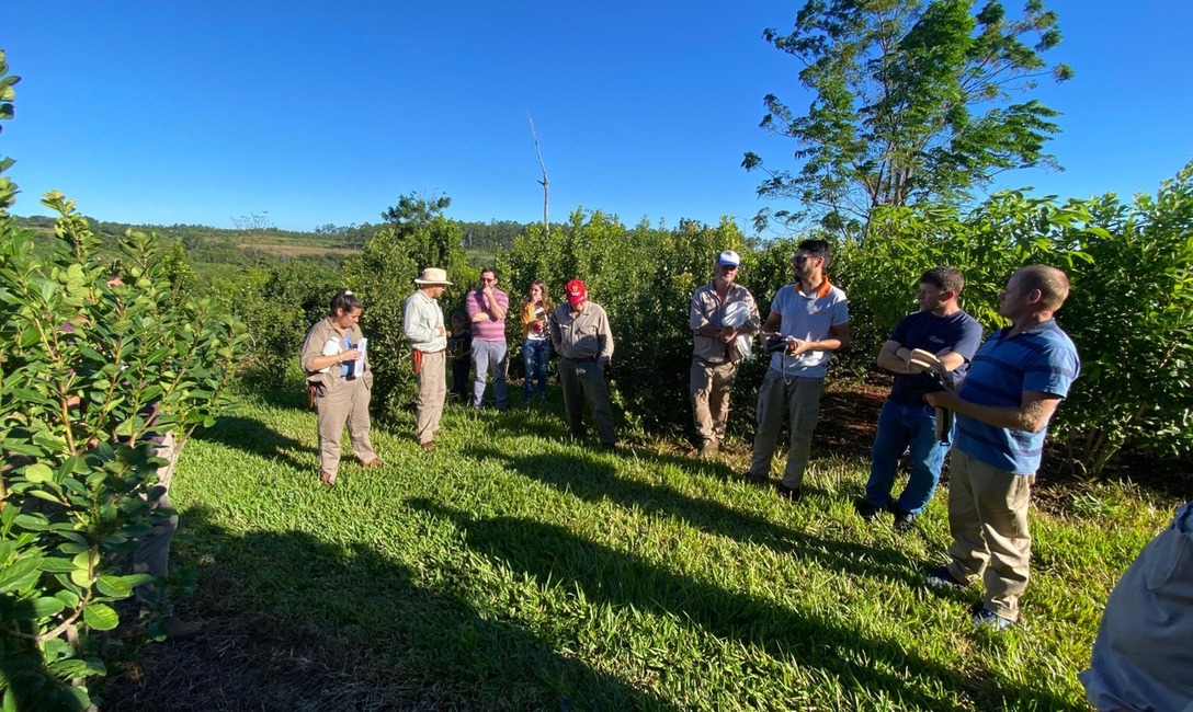 Imagen de Capacitación para mejorar la productividad en 25 de Mayo Imagen de Capacitación para mejorar la productividad en 25 de Mayo