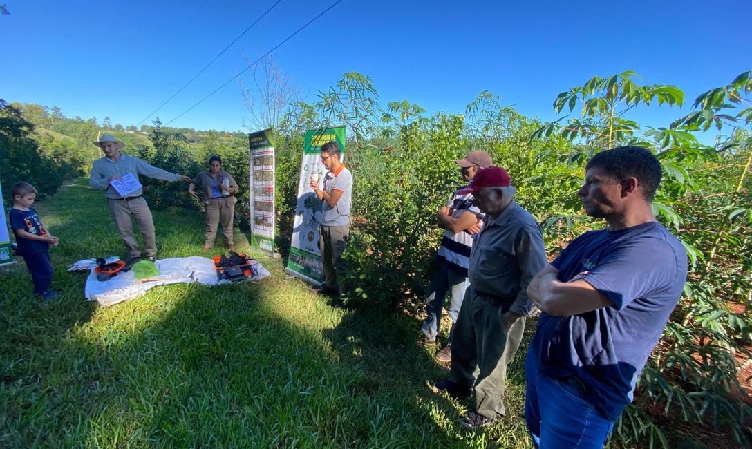 Imagen de Capacitación para mejorar la productividad en 25 de Mayo Imagen de Capacitación para mejorar la productividad en 25 de Mayo