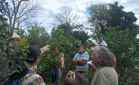 Imagen de Cómo logró Ryzuk incrementar su cosecha, tema junto a más de 30 productores en San Vicente