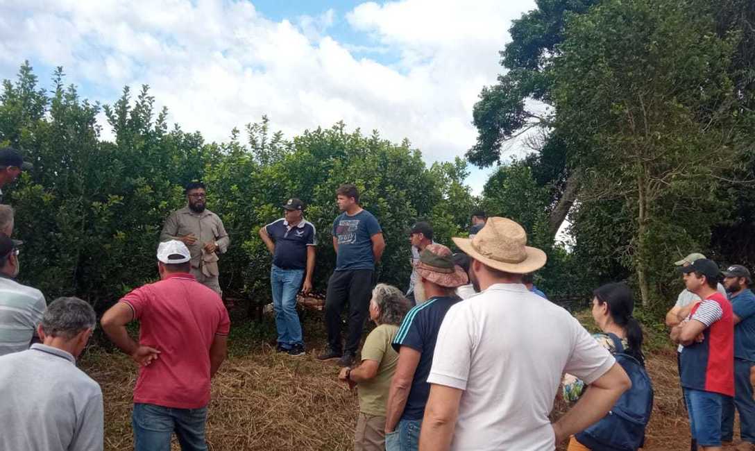Imagen de Cómo logró Ryzuk incrementar su cosecha, tema junto a más de 30 productores en San Vicente Imagen de Cómo logró Ryzuk incrementar su cosecha, tema junto a más de 30 productores en San Vicente