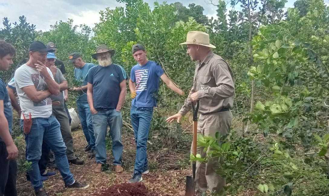 Imagen de Cómo logró Ryzuk incrementar su cosecha, tema junto a más de 30 productores en San Vicente Imagen de Cómo logró Ryzuk incrementar su cosecha, tema junto a más de 30 productores en San Vicente