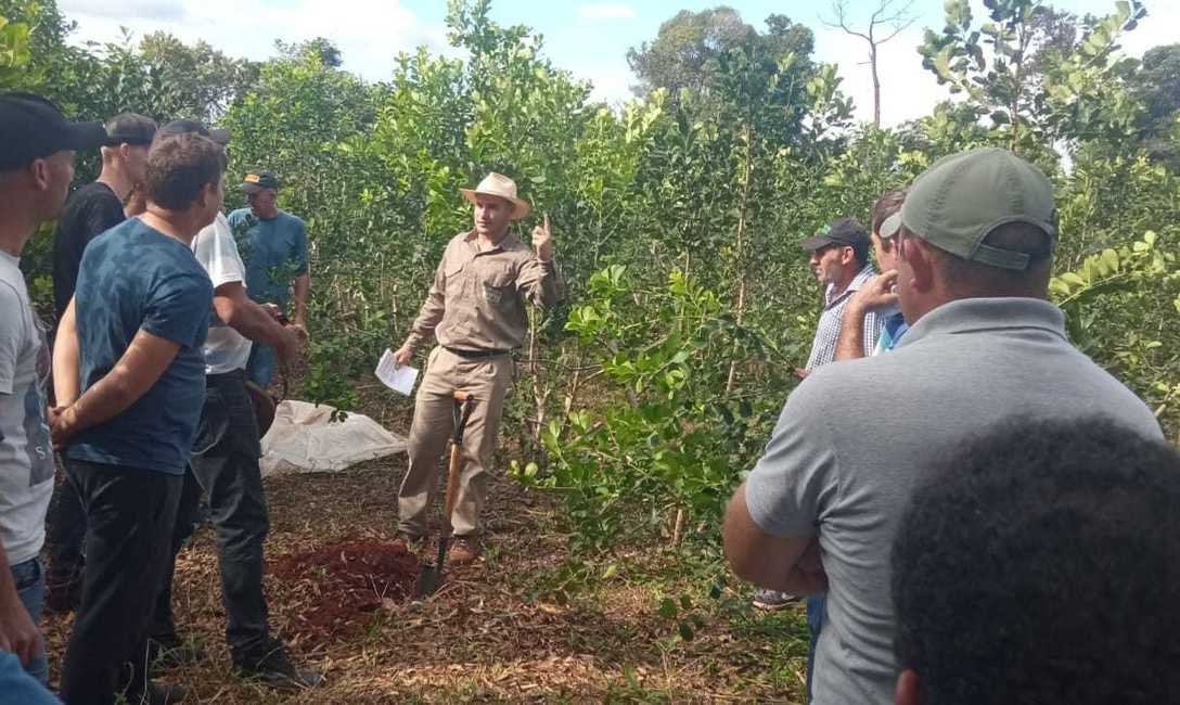 Imagen de Cómo logró Ryzuk incrementar su cosecha, tema junto a más de 30 productores en San Vicente Imagen de Cómo logró Ryzuk incrementar su cosecha, tema junto a más de 30 productores en San Vicente
