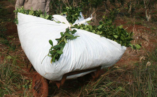 Imagen de Desde el jueves 16 de mayo rigen nuevas tarifas de CCG