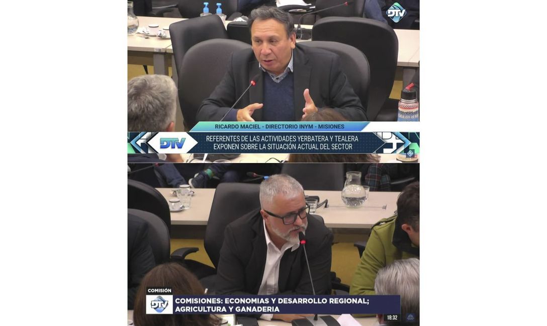 Imagen de Reunión en Diputados: Directores plantearon la importancia del INYM como herramienta para la actividad yerbatera Imagen de Reunión en Diputados: Directores plantearon la importancia del INYM como herramienta para la actividad yerbatera