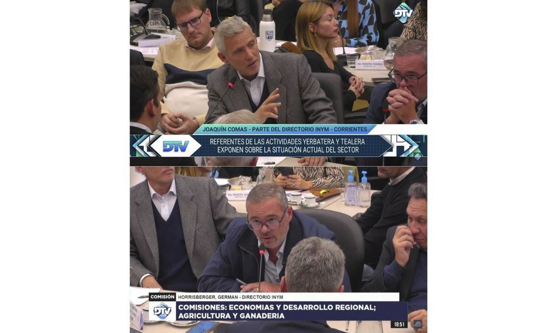 Imagen de Reunión en Diputados: Directores plantearon la importancia del INYM como herramienta para la actividad yerbatera Imagen de Reunión en Diputados: Directores plantearon la importancia del INYM como herramienta para la actividad yerbatera