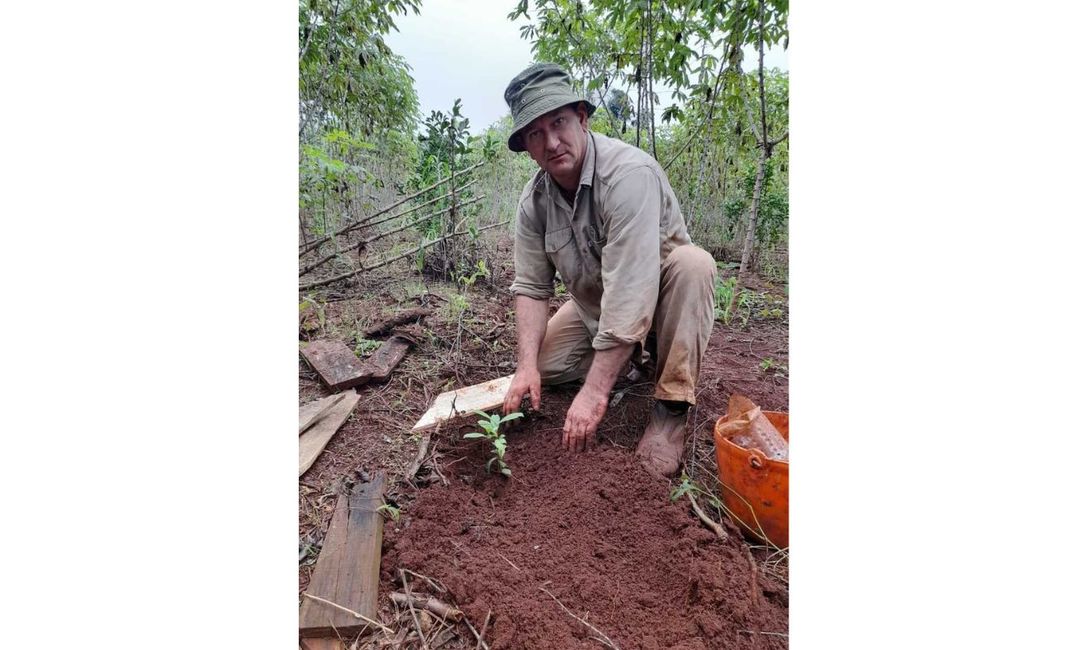 Imagen de Con prácticas recomendadas por el INYM, resultados alentadores en el yerbal de Tech Imagen de Con prácticas recomendadas por el INYM, resultados alentadores en el yerbal de Tech