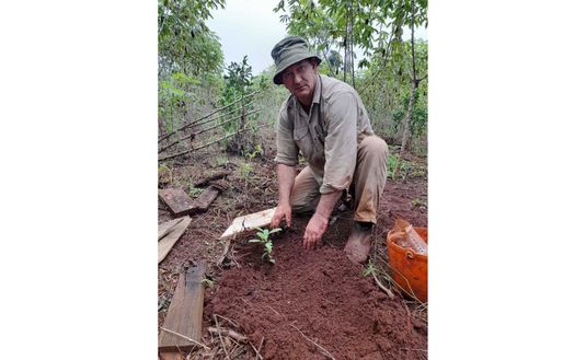 Imagen de Con prácticas recomendadas por el INYM, resultados alentadores en el yerbal de Tech