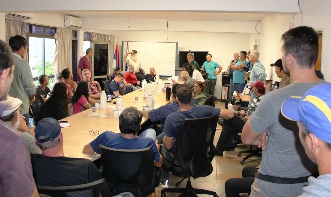 Imagen de Se formalizaron pedidos sobre yerba mate a Naci&oacute;n, Gobierno de Misiones e INYM