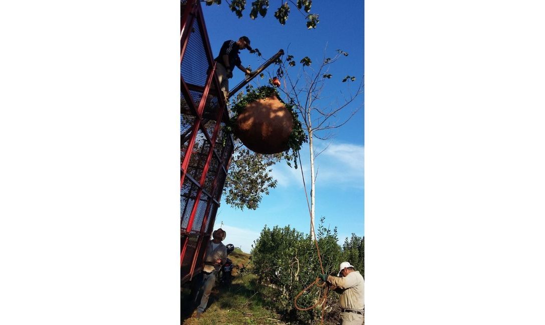 Imagen de Programas de apoyo al sector yerbatero Imagen de Programas de apoyo al sector yerbatero