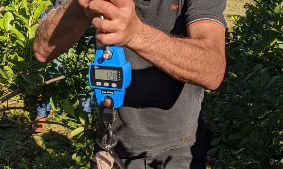 Imagen de Programas de apoyo al sector yerbatero Imagen de Programas de apoyo al sector yerbatero