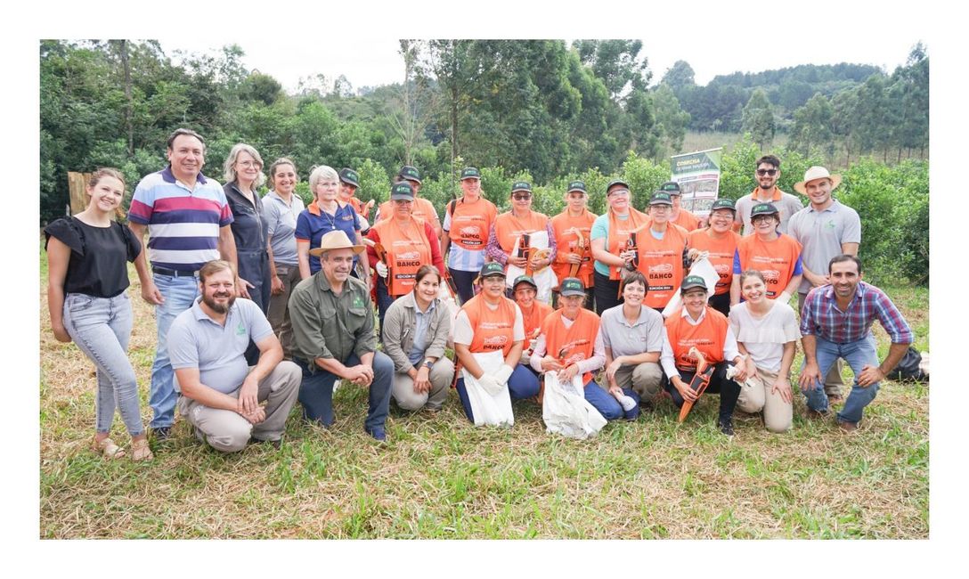 Imagen de Las mujeres fueron protagonistas de una capacitaci&oacute;n y concurso de poda de yerba mate