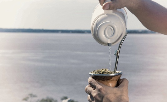 Imagen de Las exportaciones de yerba mate crecieron un 14,5% entre enero y mayo