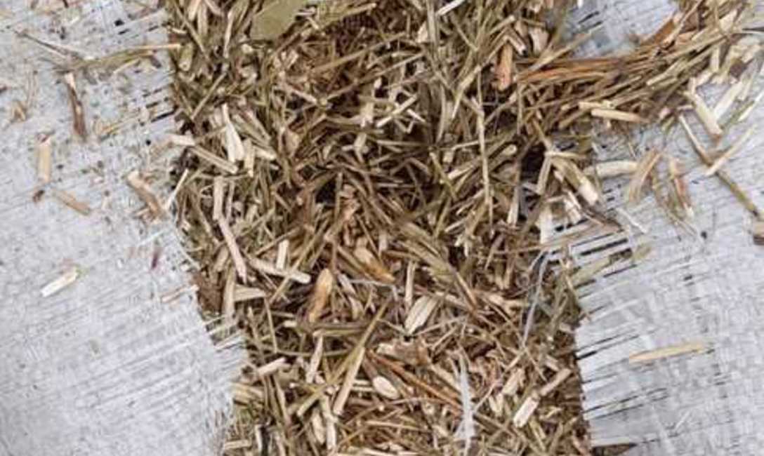 Imagen de El INYM intervino e inutilizó más de 5.000 kilos de palitos en un procedimiento en Colonia Guaraní Imagen de El INYM intervino e inutilizó más de 5.000 kilos de palitos en un procedimiento en Colonia Guaraní