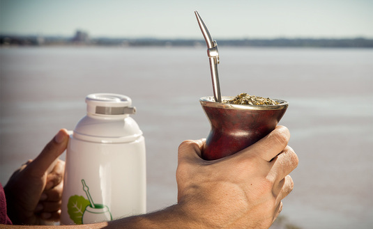 Imagen de Las exportaciones de yerba mate marcaron un récord en el primer semestre y las importaciones fueron en descenso