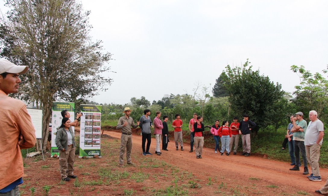 Imagen de Poda de formaci&oacute;n y cosecha con estudiantes y productores en Guaran&iacute;