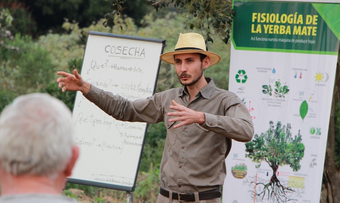 Imagen de Poda de formaci&oacute;n y cosecha con estudiantes y productores en Guaran&iacute;