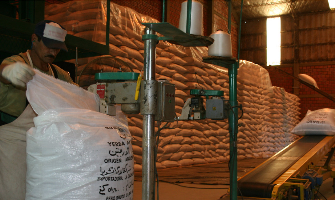 Imagen de Yerba mate: las exportaciones contin&uacute;an subiendo, mientras que se paralizaron las importaciones de yerba canchada