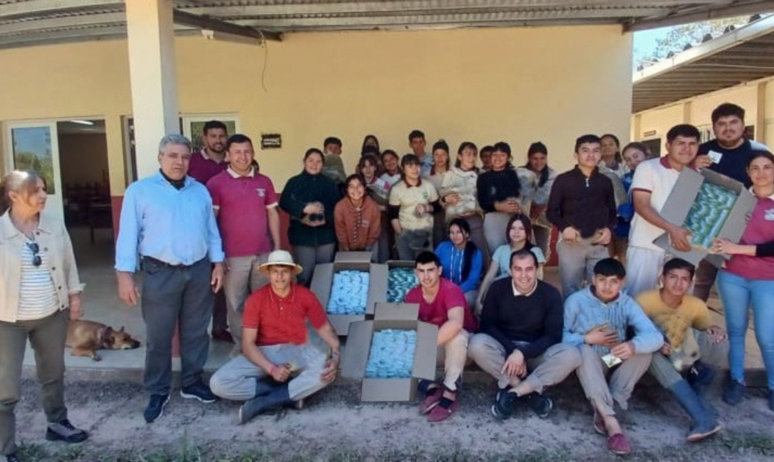 Imagen de Yerba mate para la EFA de Tatacuá Imagen de Yerba mate para la EFA de Tatacuá