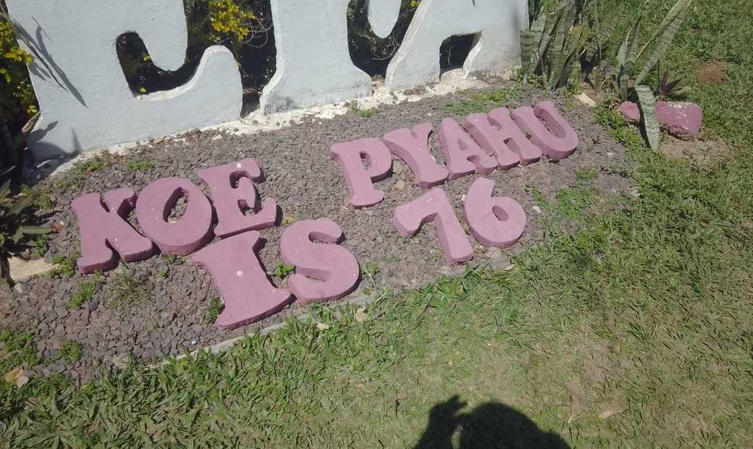 Imagen de Yerba mate para la EFA de Tatacuá Imagen de Yerba mate para la EFA de Tatacuá