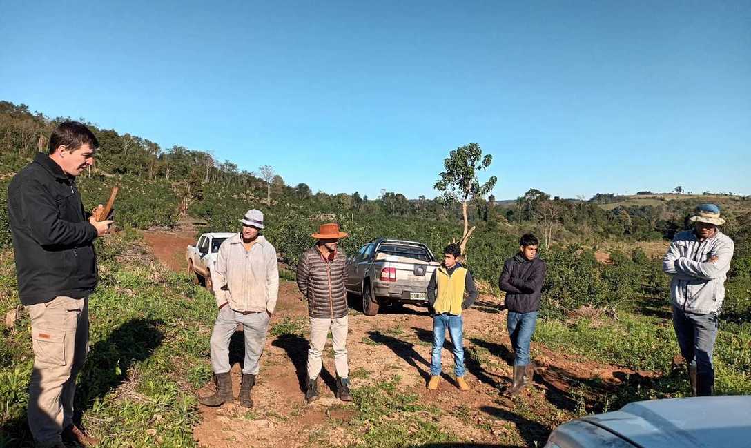 Imagen de Cómo cuidar las plantas y el suelo yerbatero Imagen de Cómo cuidar las plantas y el suelo yerbatero