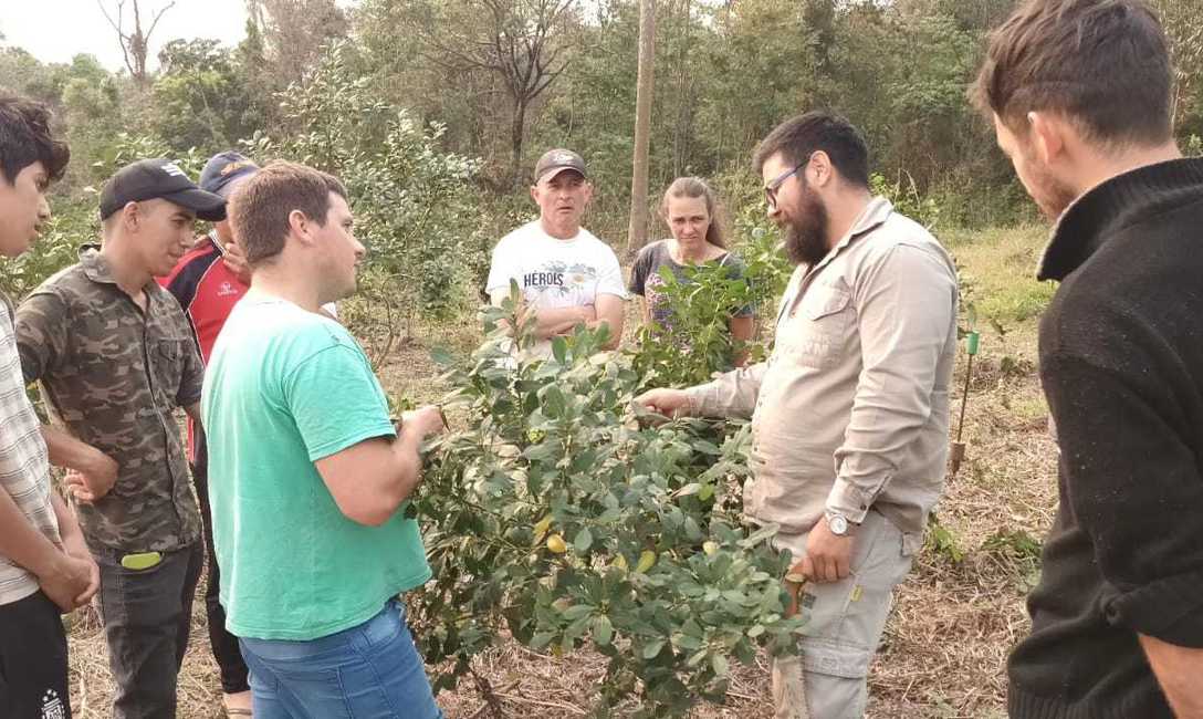 Imagen de Cómo cuidar las plantas y el suelo yerbatero Imagen de Cómo cuidar las plantas y el suelo yerbatero