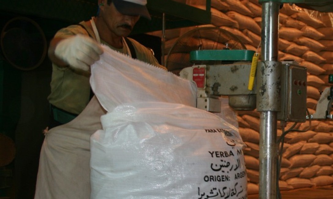 Imagen de Yerba mate: las exportaciones aumentaron un 11,4% entre enero y agosto Imagen de Yerba mate: las exportaciones aumentaron un 11,4% entre enero y agosto