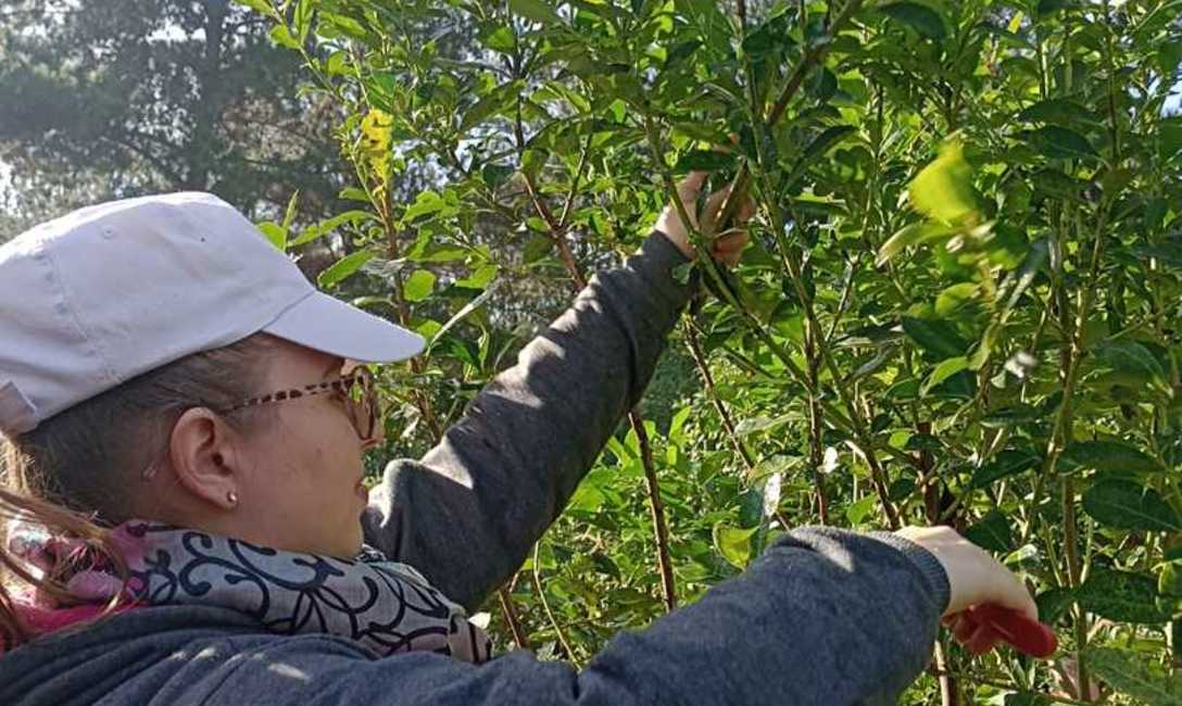 Imagen de Tania y Gustavo, a punto de recibirse como Ingenieros Agrónomos tras estudiar con becas del INYM Imagen de Tania y Gustavo, a punto de recibirse como Ingenieros Agrónomos tras estudiar con becas del INYM