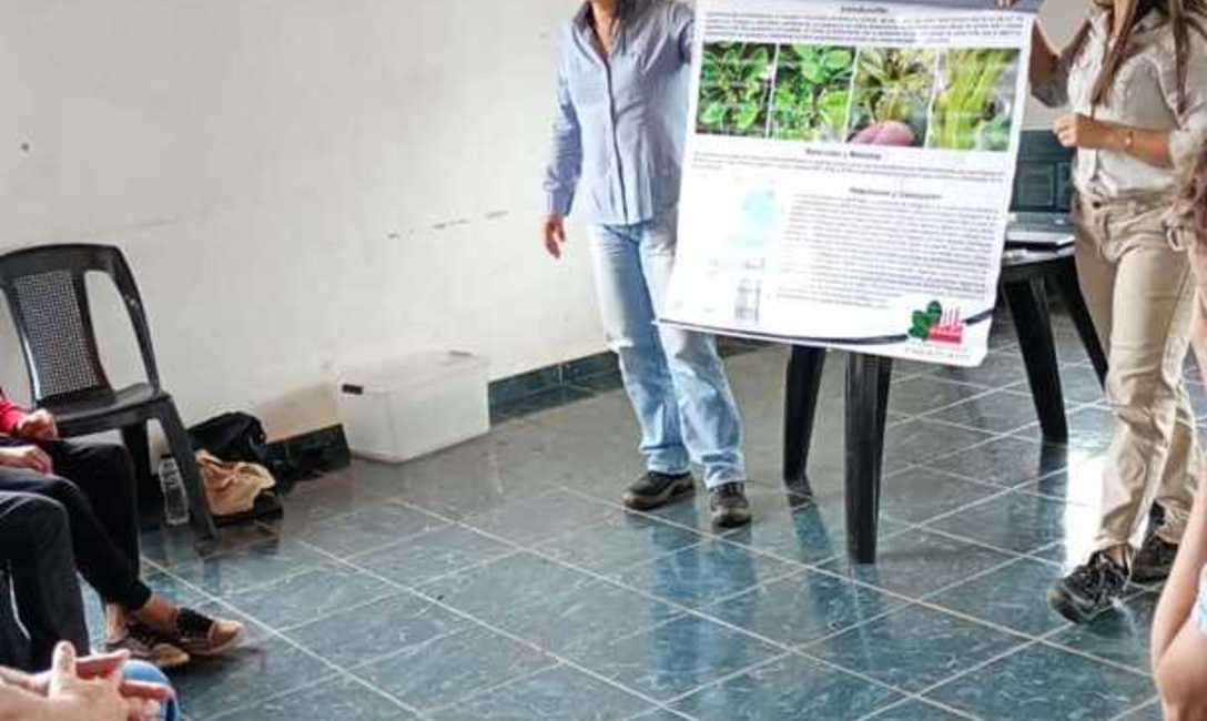 Imagen de Jornada sobre plagas en yerba mate Imagen de Jornada sobre plagas en yerba mate