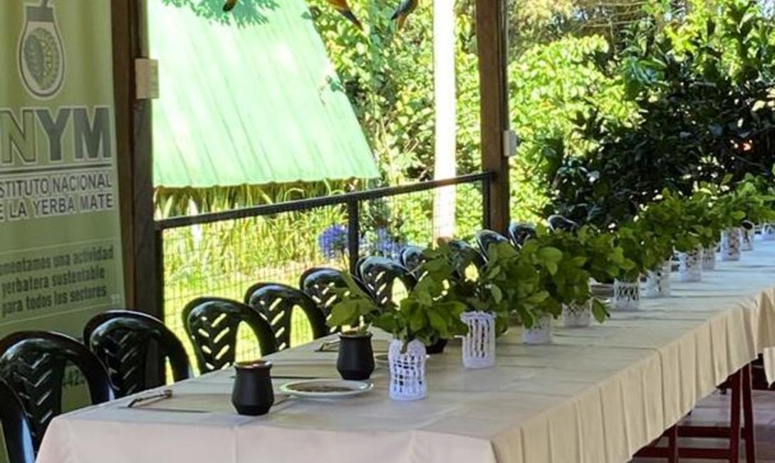 Imagen de Reinas nacionales conocieron más acerca de la yerba mate Imagen de Reinas nacionales conocieron más acerca de la yerba mate