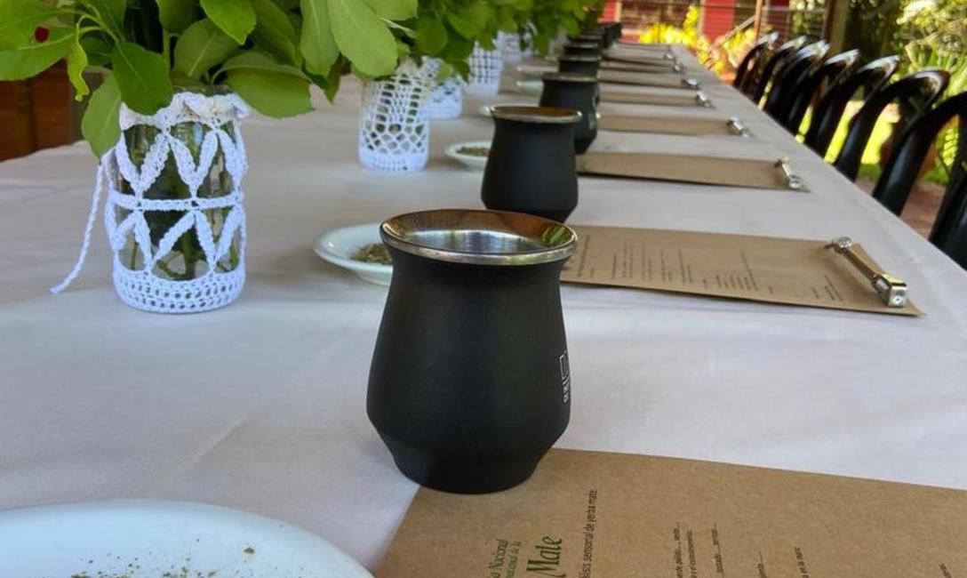 Imagen de Reinas nacionales conocieron más acerca de la yerba mate Imagen de Reinas nacionales conocieron más acerca de la yerba mate