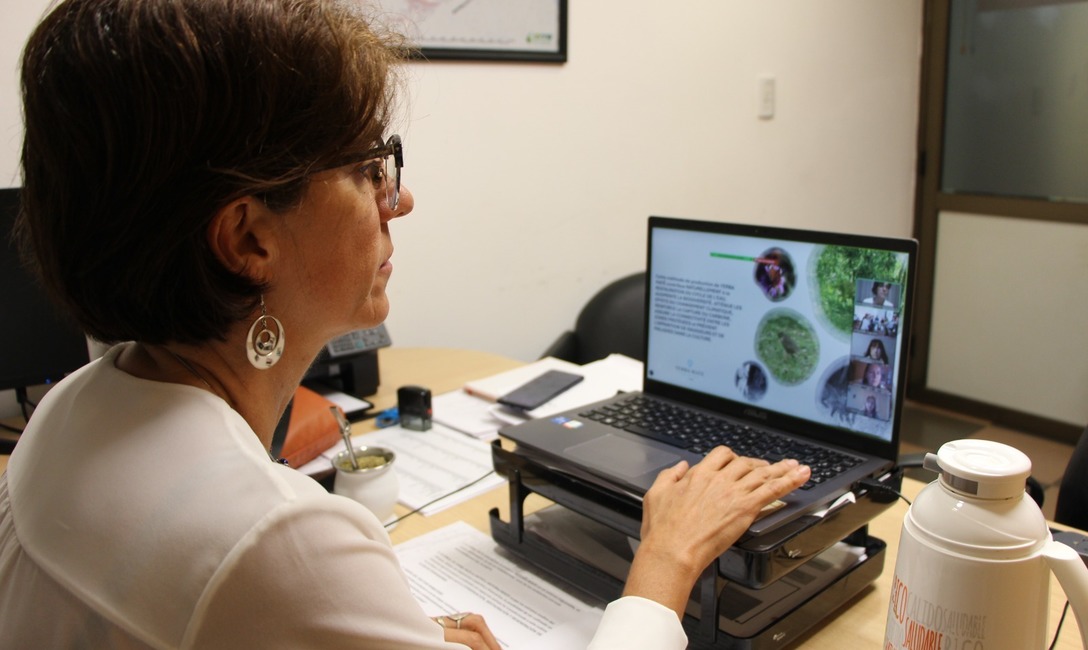 Imagen de Día Nacional del Mate en Francia, con énfasis en la Yerba Mate Argentina que se produce cuidando la naturaleza Imagen de Día Nacional del Mate en Francia, con énfasis en la Yerba Mate Argentina que se produce cuidando la naturaleza