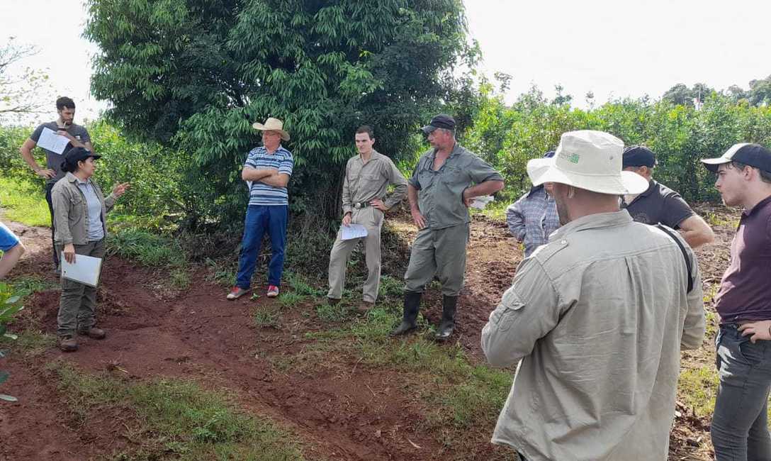Imagen de Demostración de uso de drones para aplicaciones foliares Imagen de Demostración de uso de drones para aplicaciones foliares
