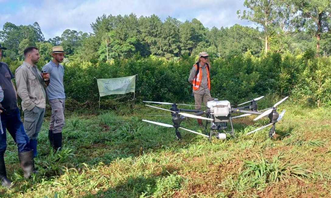 Imagen de Demostración de uso de drones para aplicaciones foliares Imagen de Demostración de uso de drones para aplicaciones foliares