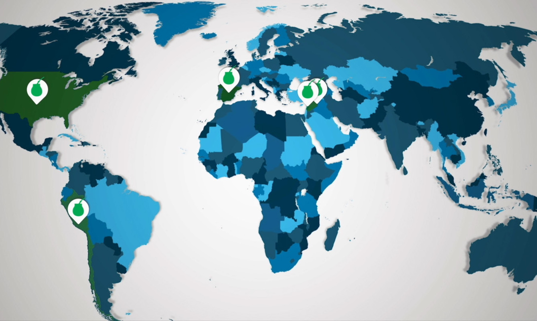 Imagen de Las exportaciones de yerba mate marcaron un récord histórico en 2024 Imagen de Las exportaciones de yerba mate marcaron un récord histórico en 2024