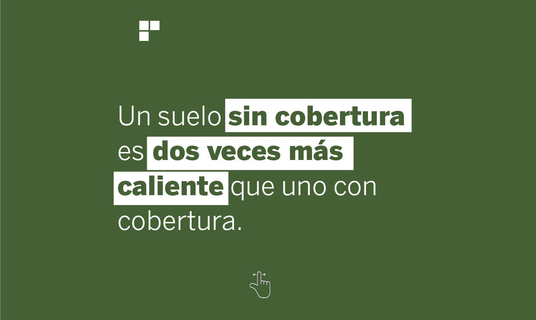 Imagen de Yerbales en verano: un suelo sin cobertura es dos veces más caliente que uno con cubiertas verdes y árboles Imagen de Yerbales en verano: un suelo sin cobertura es dos veces más caliente que uno con cubiertas verdes y árboles