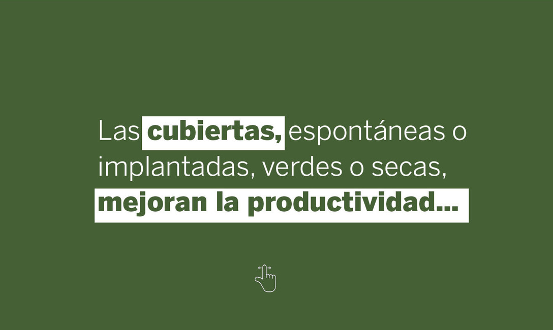 Imagen de Yerbales en verano: un suelo sin cobertura es dos veces más caliente que uno con cubiertas verdes y árboles Imagen de Yerbales en verano: un suelo sin cobertura es dos veces más caliente que uno con cubiertas verdes y árboles