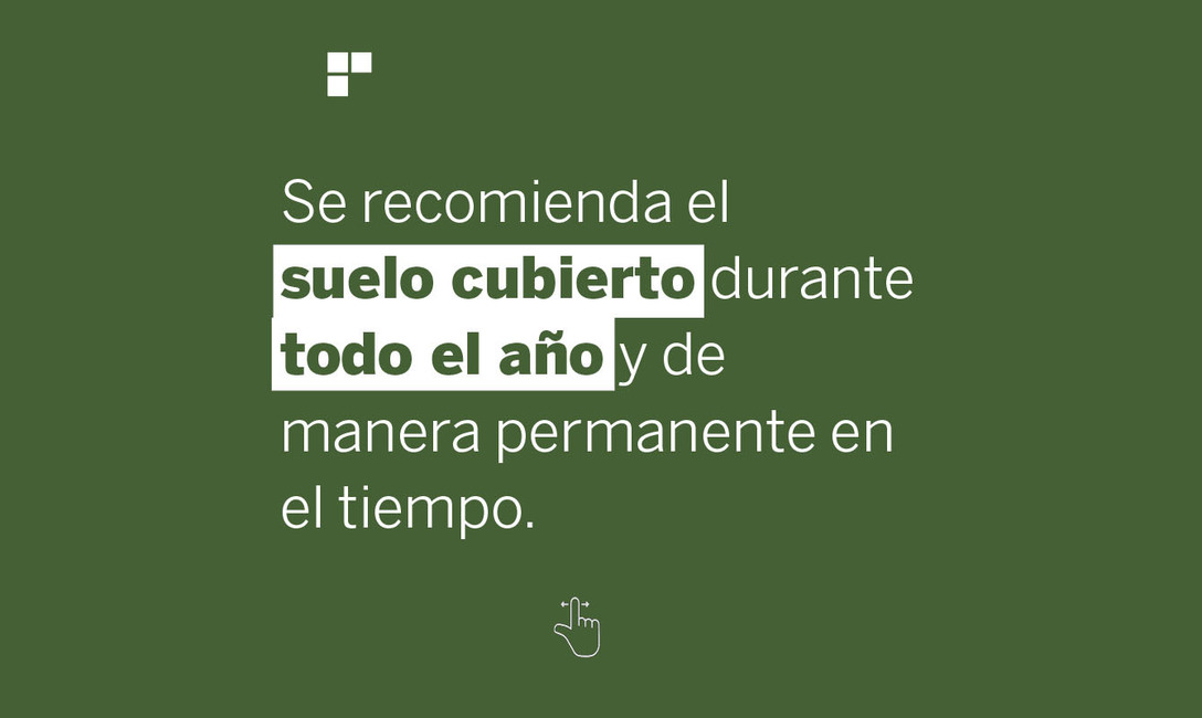Imagen de Yerbales en verano: un suelo sin cobertura es dos veces más caliente que uno con cubiertas verdes y árboles Imagen de Yerbales en verano: un suelo sin cobertura es dos veces más caliente que uno con cubiertas verdes y árboles