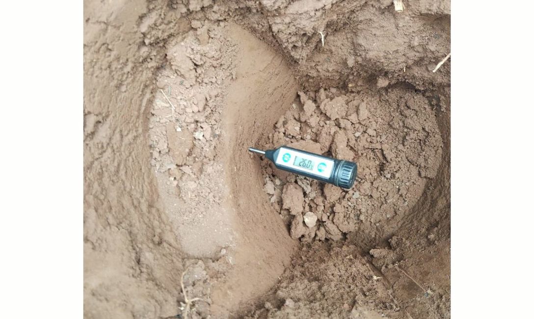 Imagen de En San Vicente: 69 grados de temperatura en suelos sin cobertura, y 29 en suelos con cobertura Imagen de En San Vicente: 69 grados de temperatura en suelos sin cobertura, y 29 en suelos con cobertura