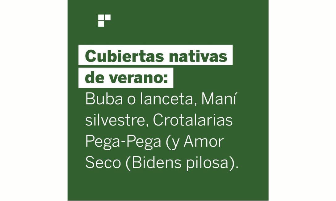 Imagen de Qu&eacute; aportan las cubiertas verdes