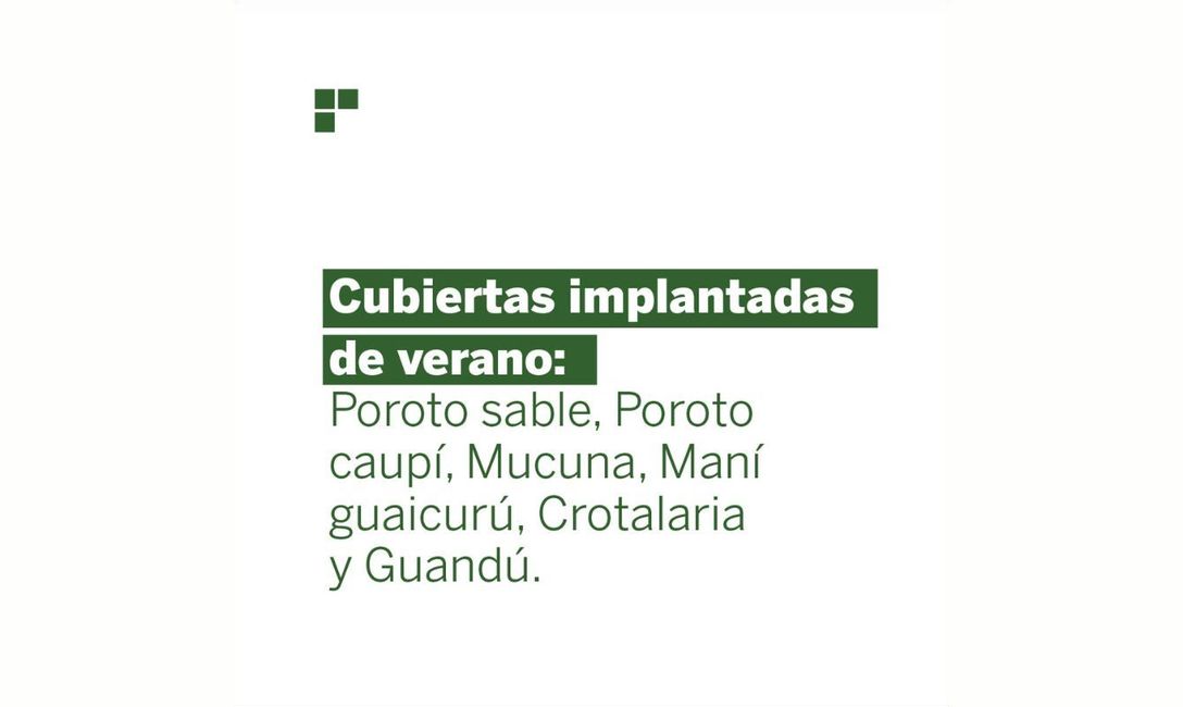 Imagen de Qu&eacute; aportan las cubiertas verdes