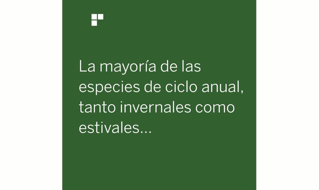 Imagen de Qu&eacute; aportan las cubiertas verdes